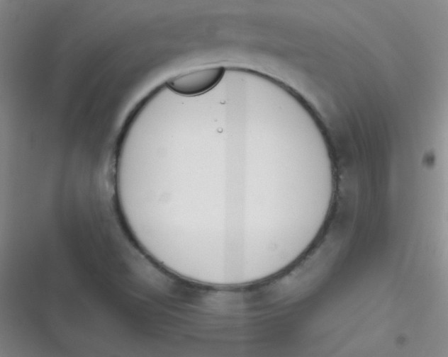 X0000116821510201001081406