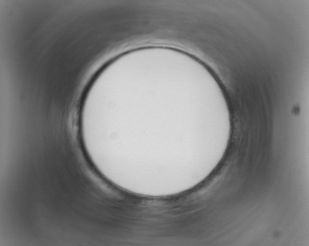 X0000116821511201001081406