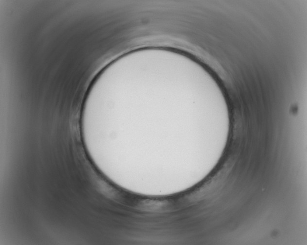 X0000116821513201001081406