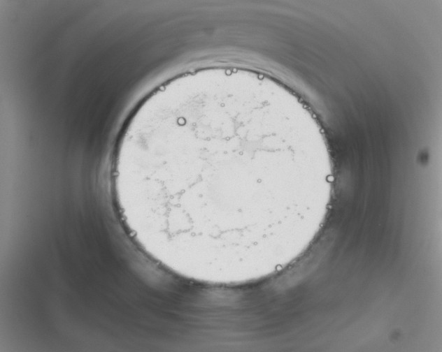 X0000116821514201001081406