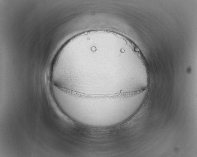 X0000116821515201001081406