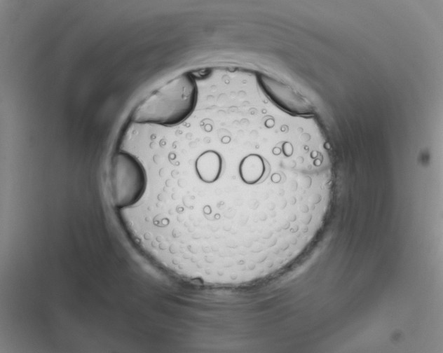 X0000116821517201001081406