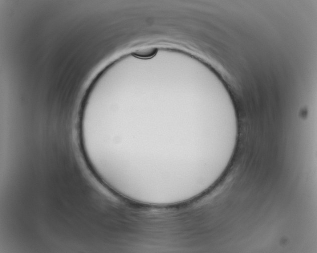 X0000116821518201001081406