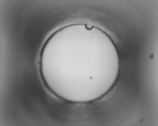 X0000116821519201001081406