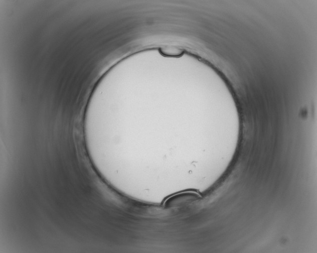 X0000116821521201001081406