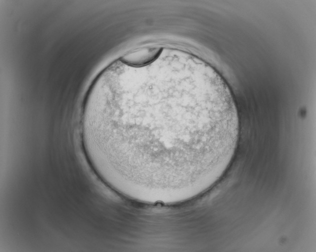 X0000116821522201001081406