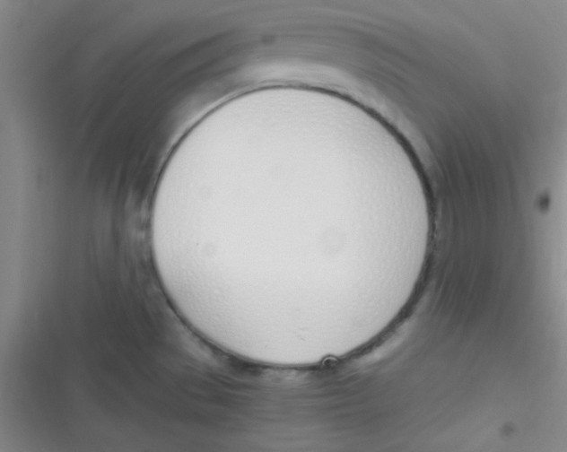 X0000116821529201001081406