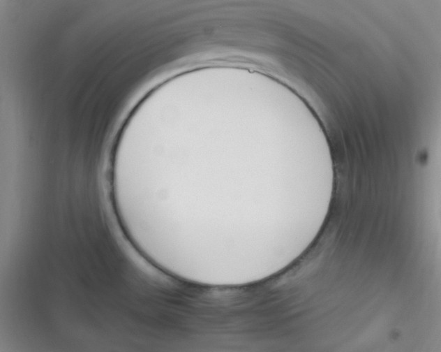 X0000116821531201001081406