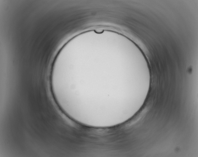 X0000116821533201001081406