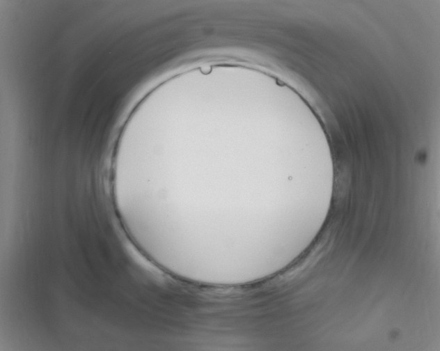 X0000116821535201001081406