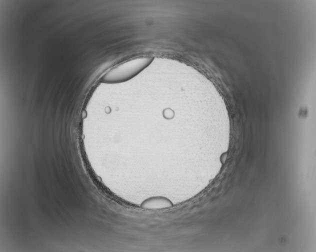 X0000116820003201001151215