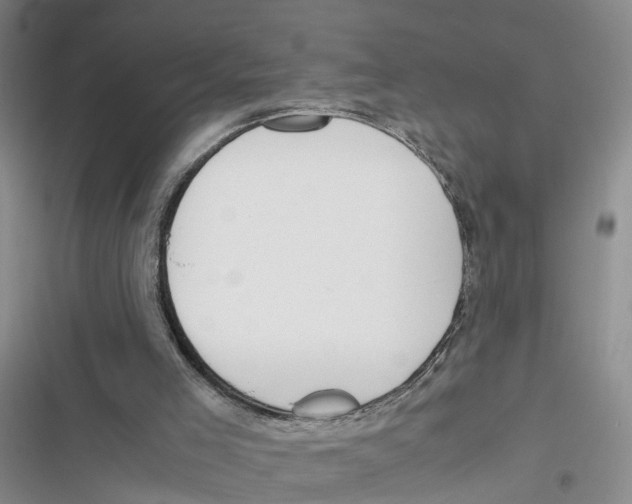 X0000116820005201001151215