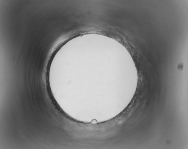 X0000116820006201001151215