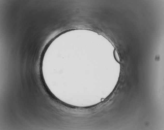 X0000116820008201001151215