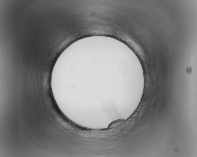 X0000116820009201001151215