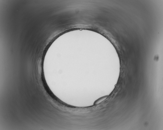 X0000116820011201001151215