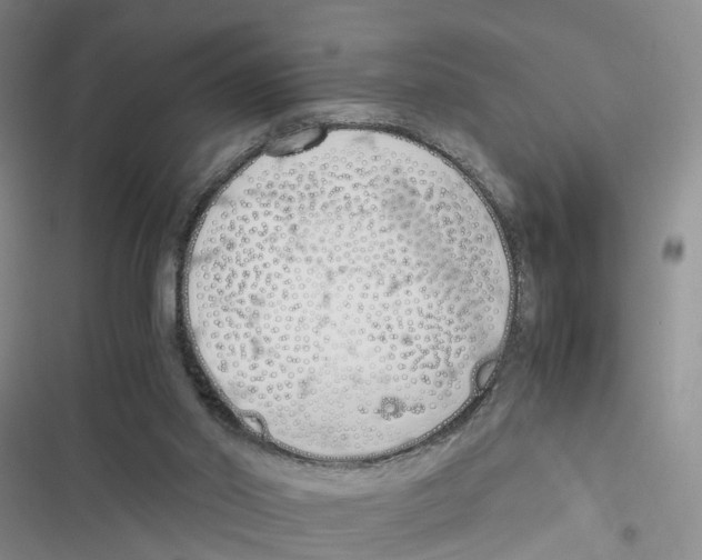 X0000116820014201001151215