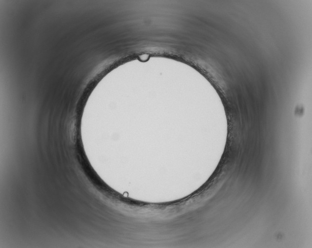 X0000116820016201001151215