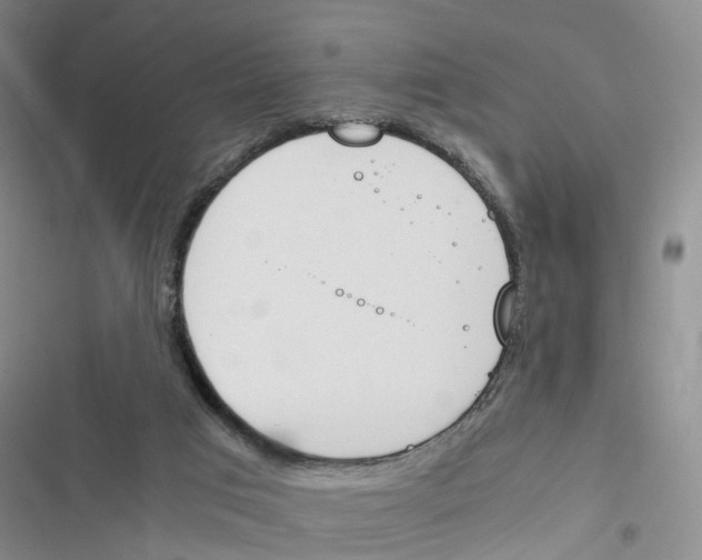 X0000116820017201001151215