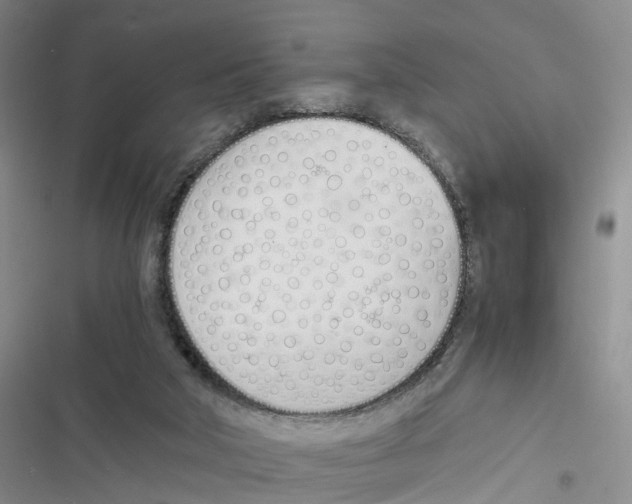 X0000116820018201001151215