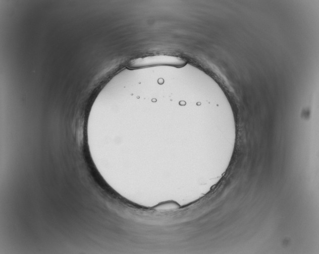 X0000116820019201001151214