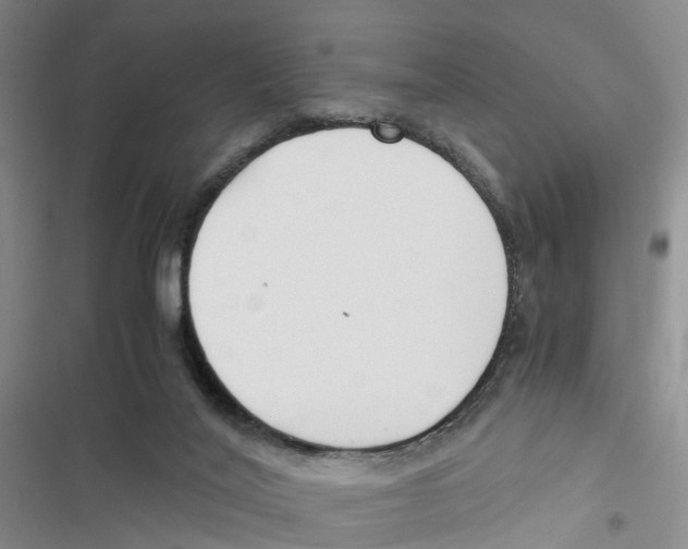 X0000116820020201001151214