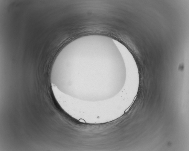 X0000116820021201001151214