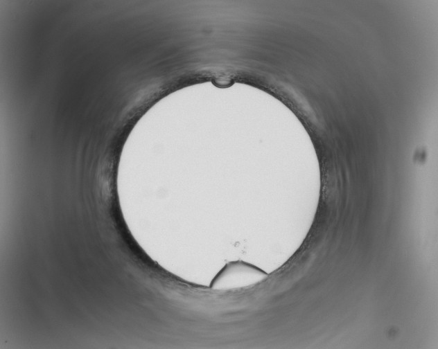 X0000116820023201001151214