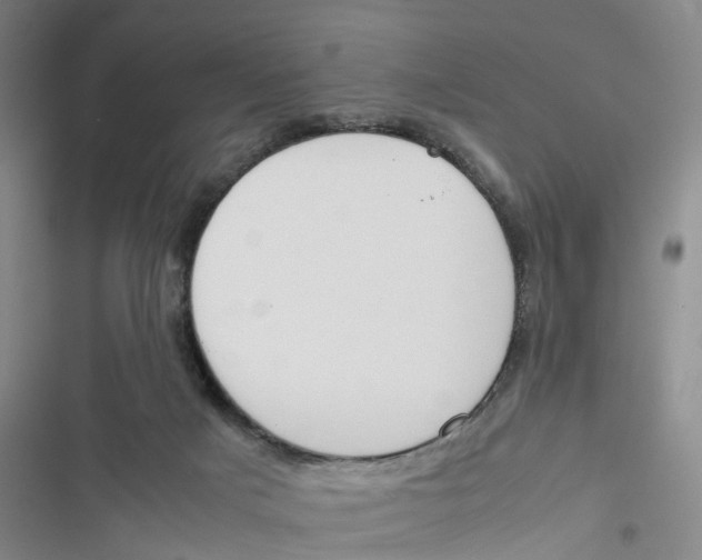 X0000116820025201001151214