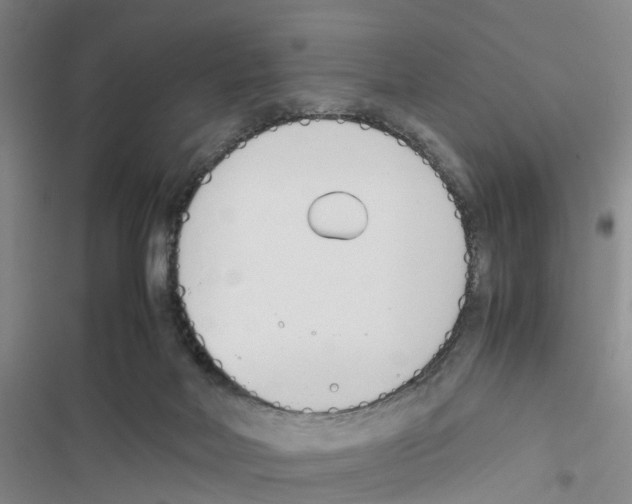 X0000116820026201001151214