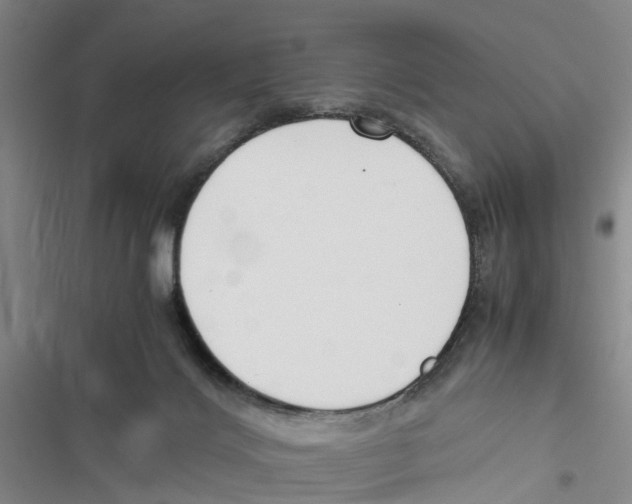 X0000116820028201001151214