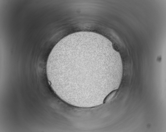 X0000116820029201001151214