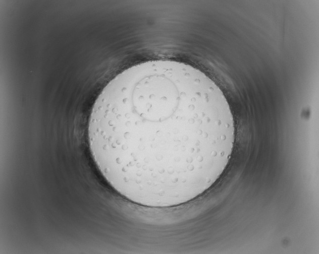 X0000116820030201001151214