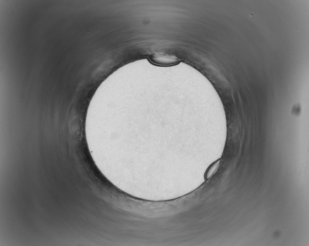 X0000116820031201001151214