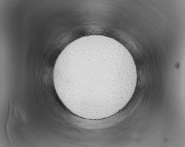 X0000116820034201001151214