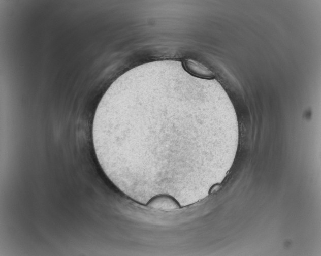 X0000116820035201001151214