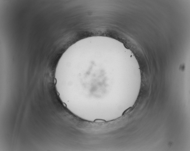 X0000116820037201001151214