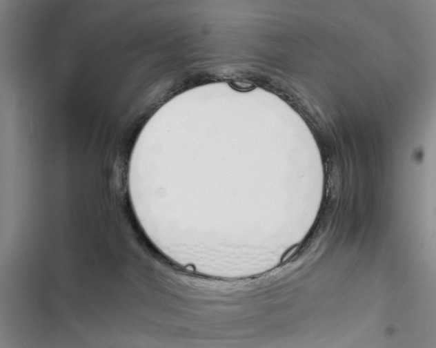 X0000116820044201001151214