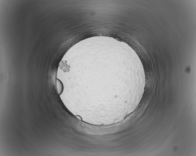 X0000116820047201001151214