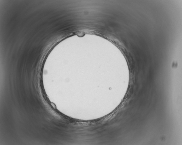 X0000116820049201001151213