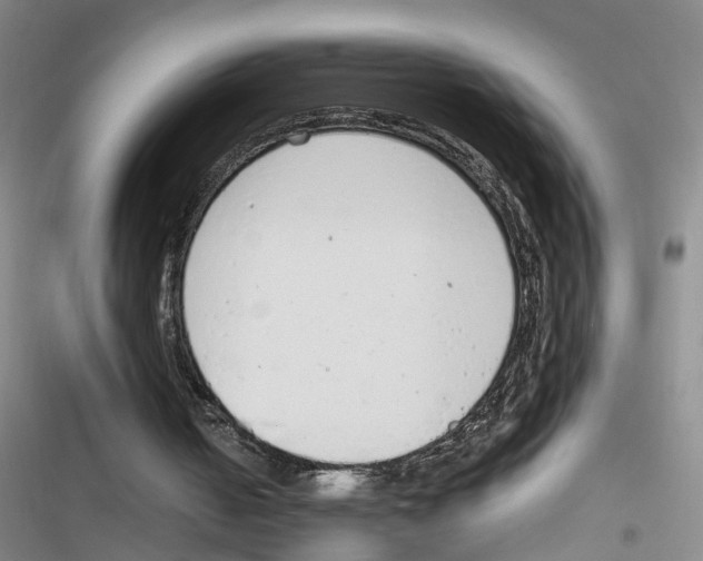 X0000116820050201001151213