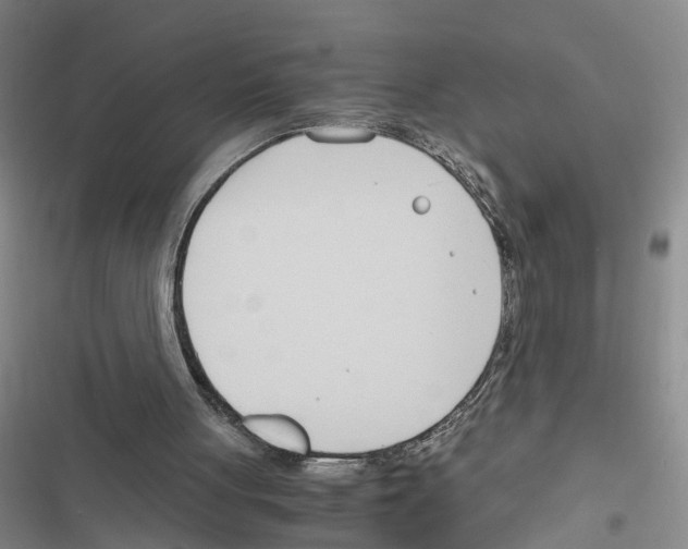 X0000116820051201001151213