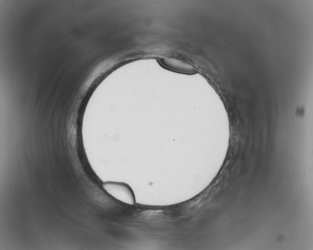 X0000116820054201001151214