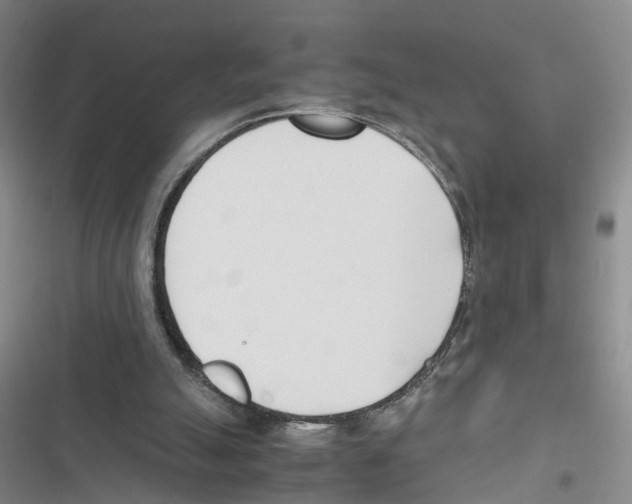 X0000116820055201001151214