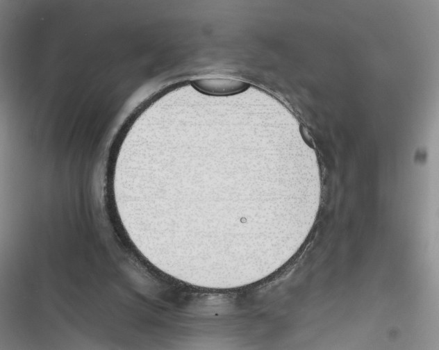 X0000116820056201001151214