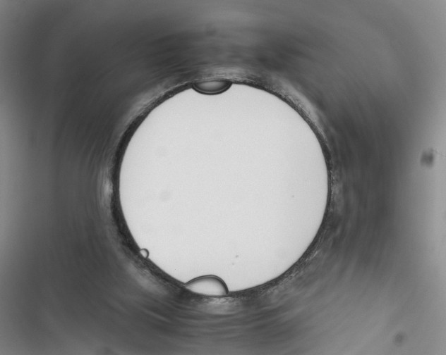 X0000116820059201001151214