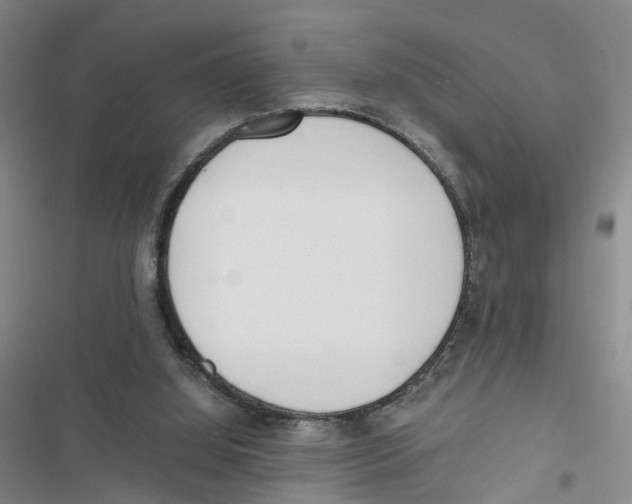 X0000116820060201001151214