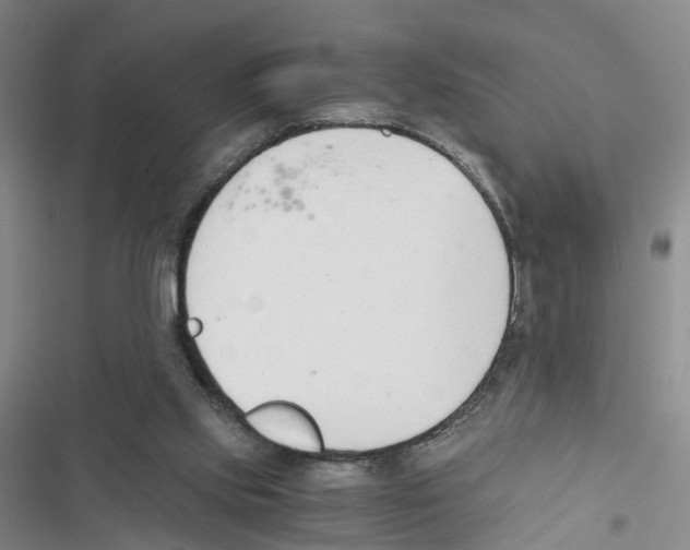 X0000116820061201001151214