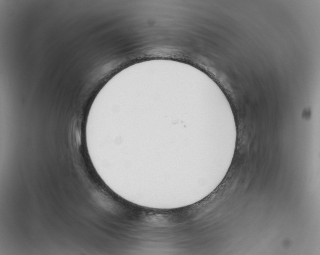 X0000116820062201001151214