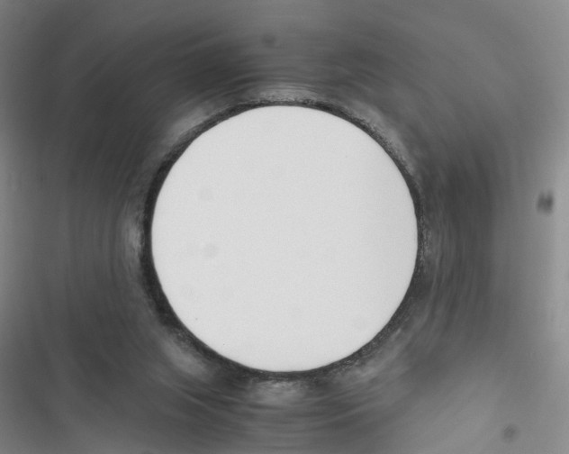 X0000116820063201001151214